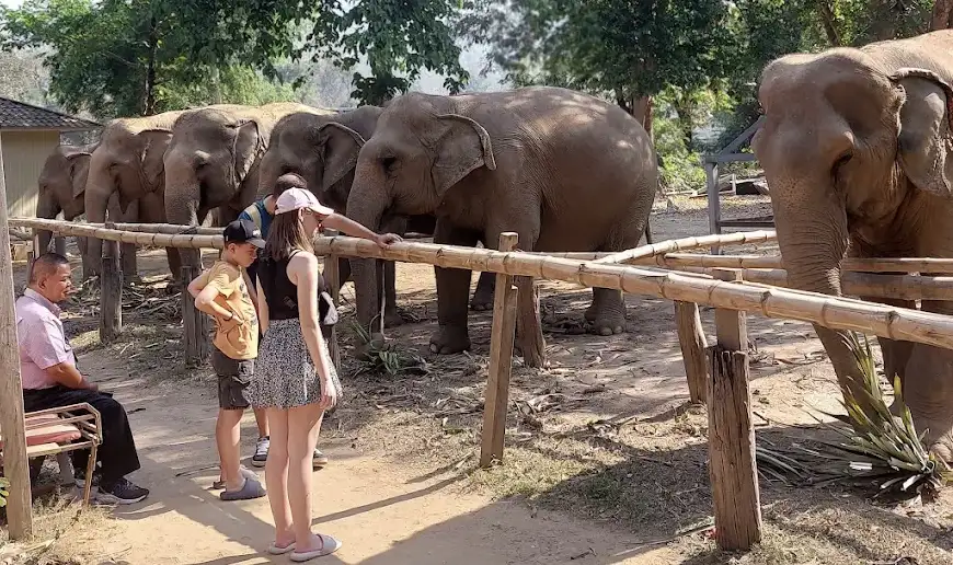 Elephant Haven Thailand
