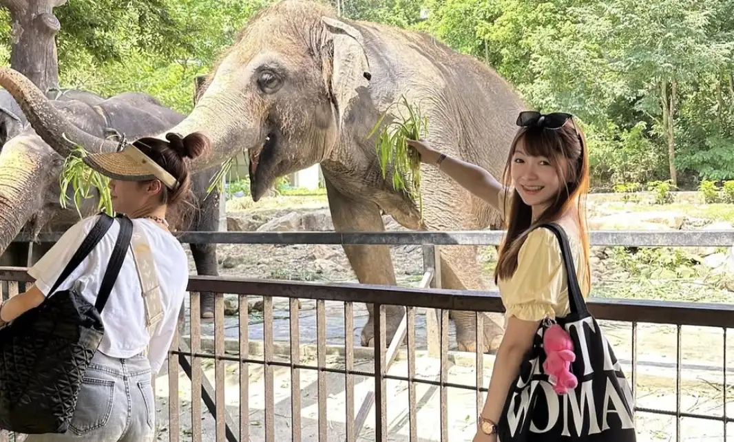 Khao Kheow Open Zoo