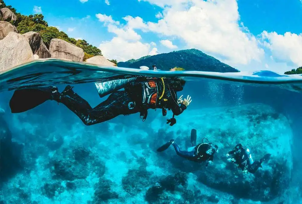 Koh Tao diving courses: Explore Thailand’s underwater world