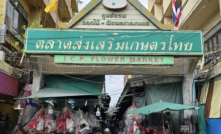 Pak Khlong Talat Travel Guide