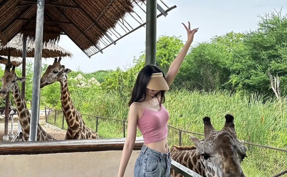 Top Zoos in Thailand: Must-Visit Wildlife Attractions for 2025