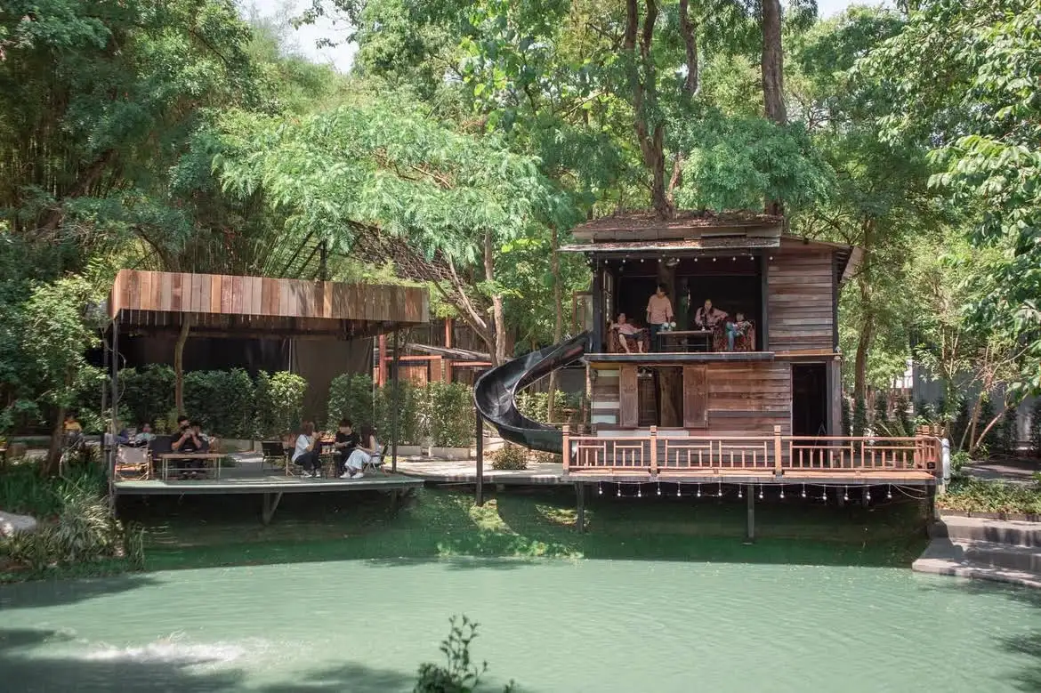 Chiang Mai coffee shops: Top spots for cafe lovers