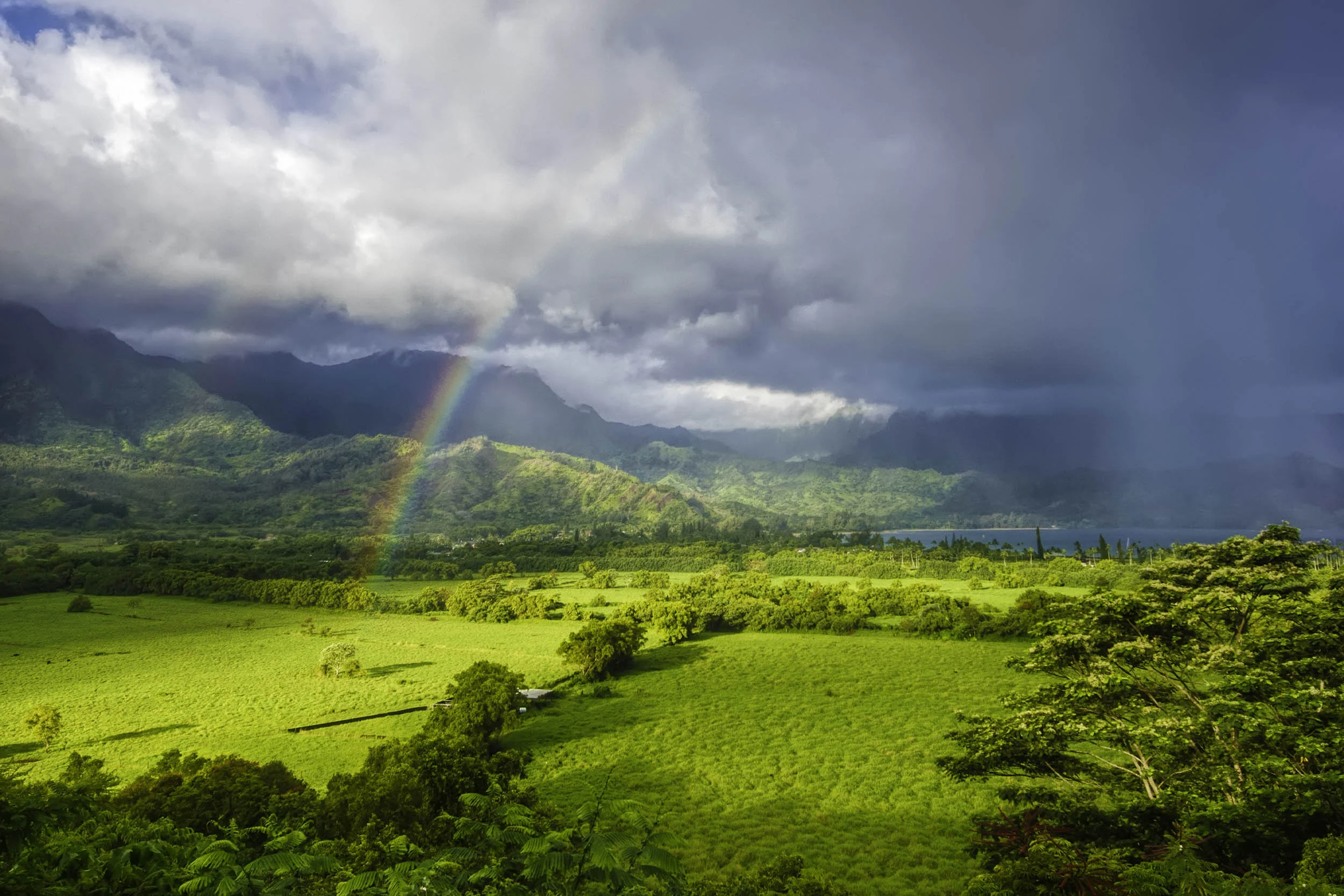 Thailand monsoon season: Travel tips for rainy days