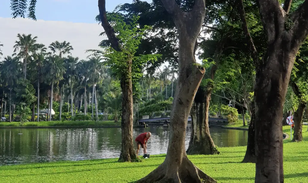 A Green Oasis