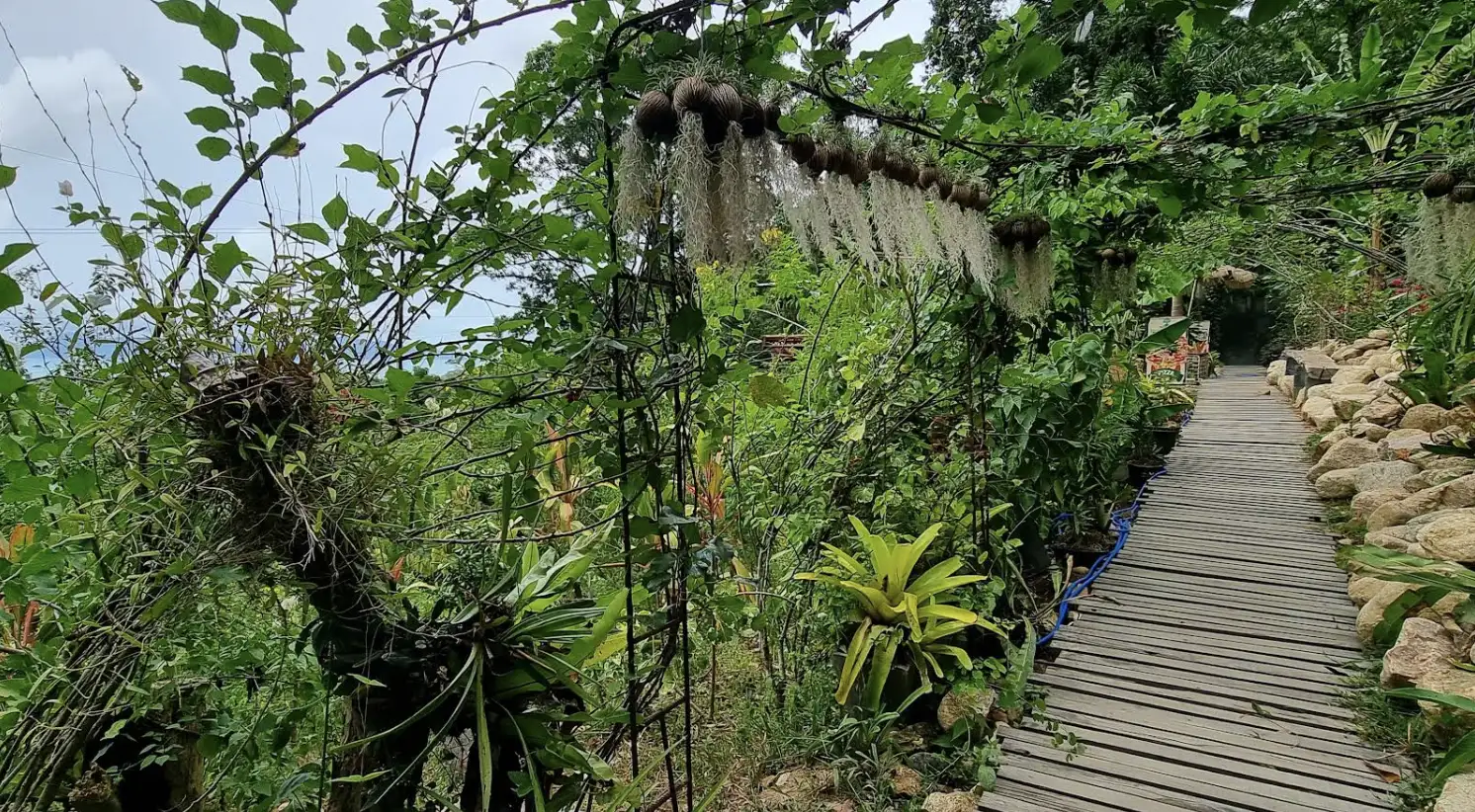 A Picturesque Retreat