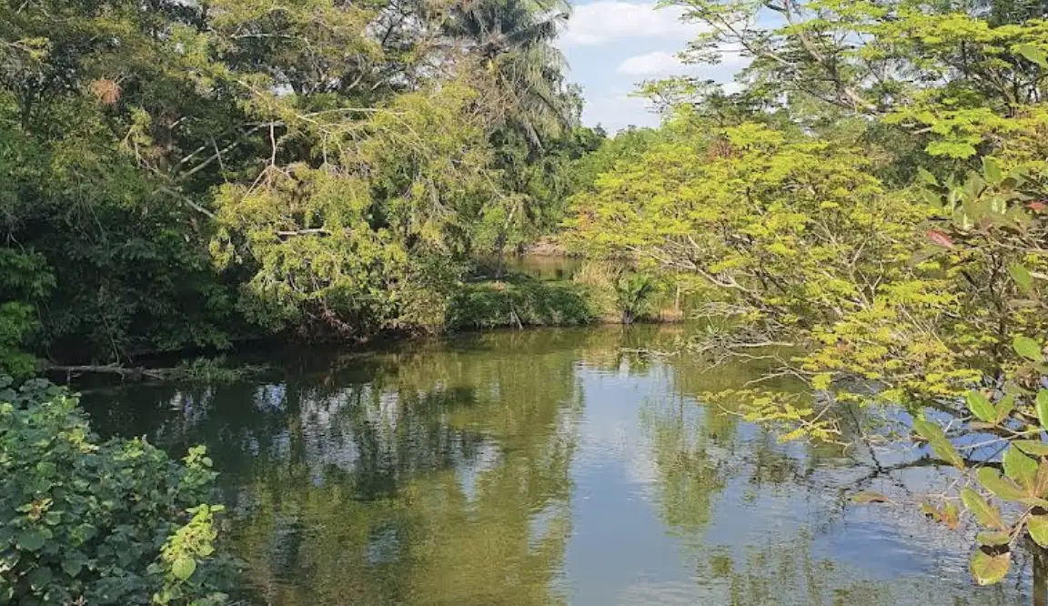 Bang Kachao Travel Guide: A Cyclist’s Escape to Bangkok’s Green Lung