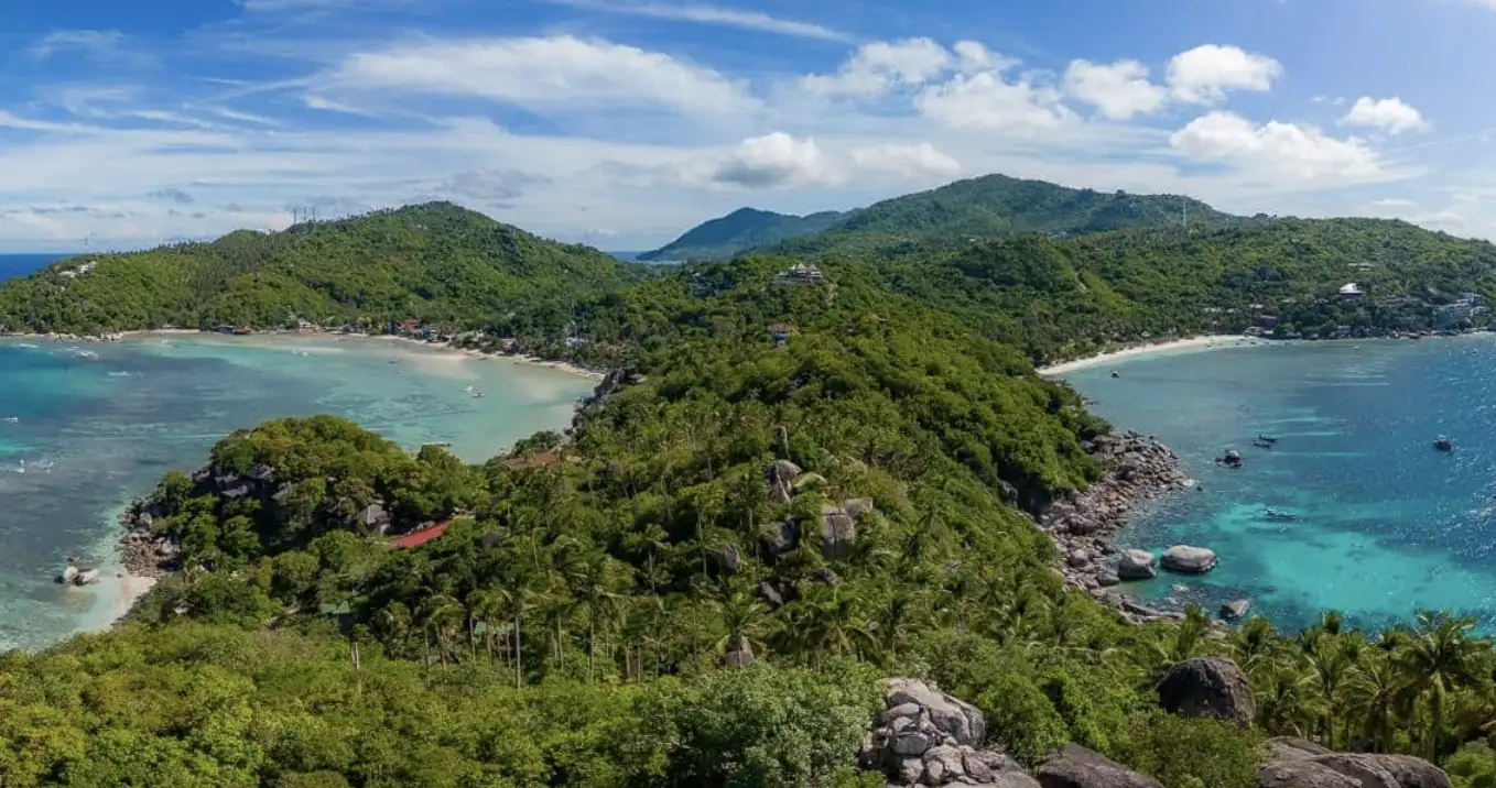 John-Suwan Viewpoint Review