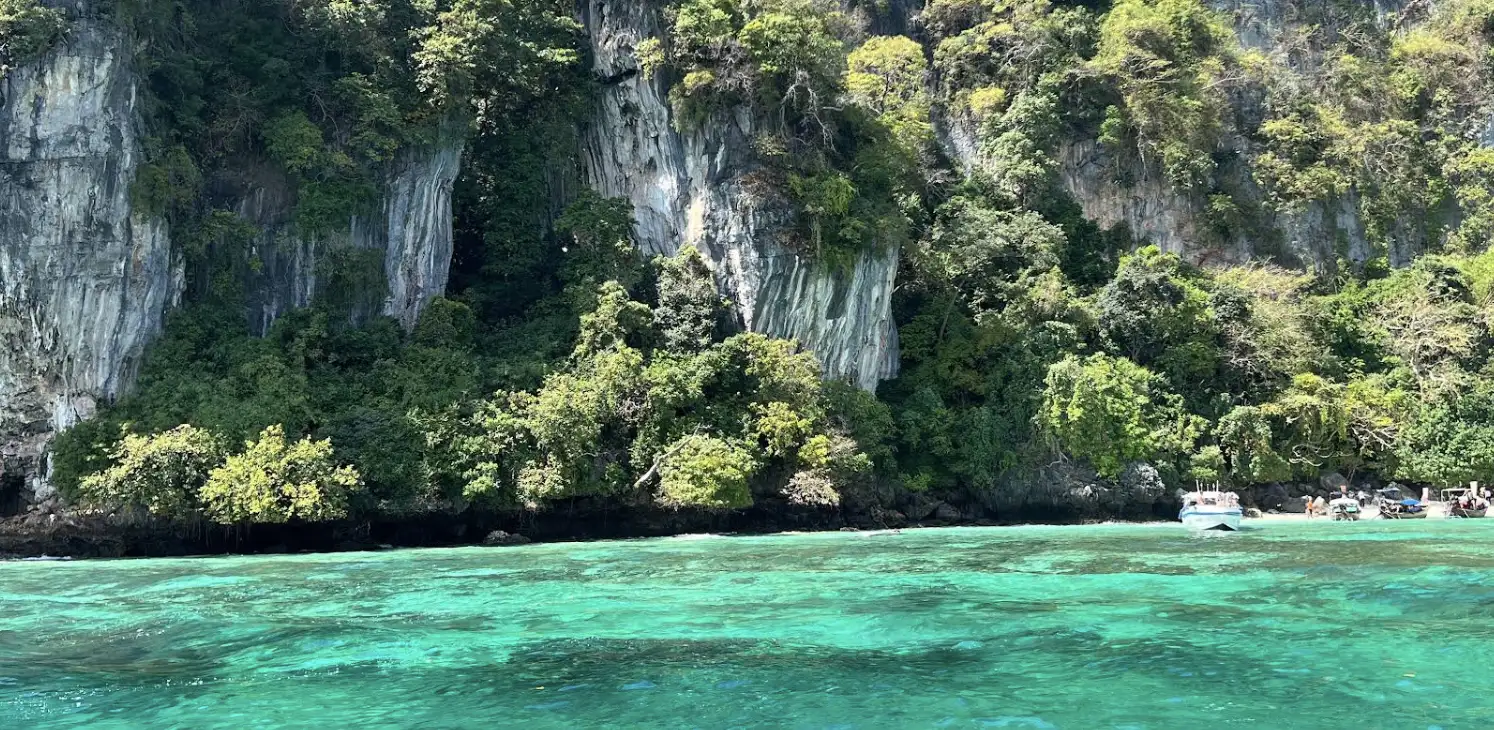 Monkey Beach Review: A Wild Encounter with Nature’s Charm