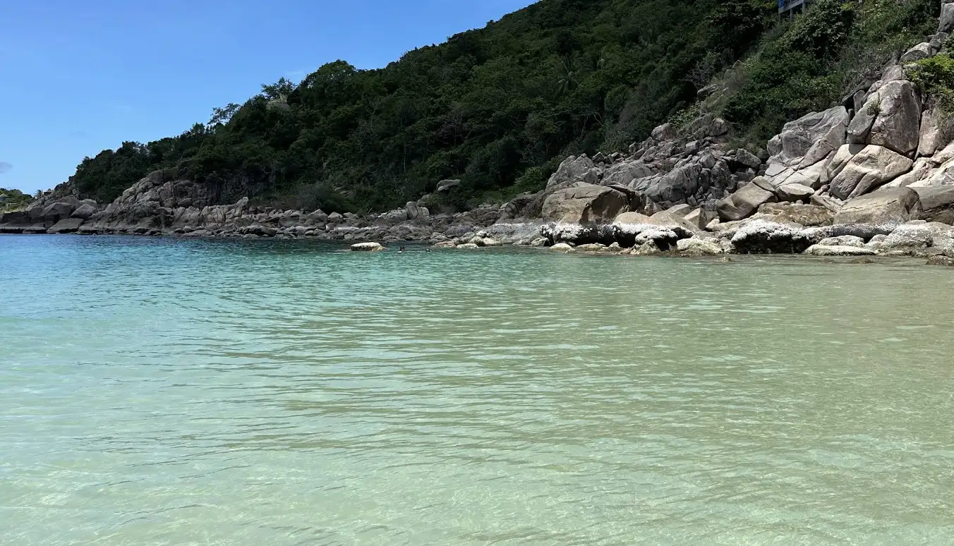 The Beach - A Tropical Gem