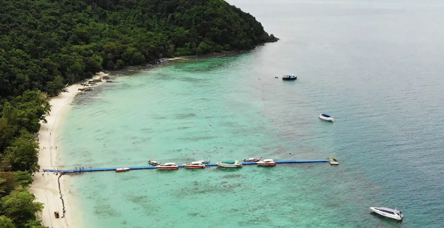 Uncovering Coral Island’s Magic