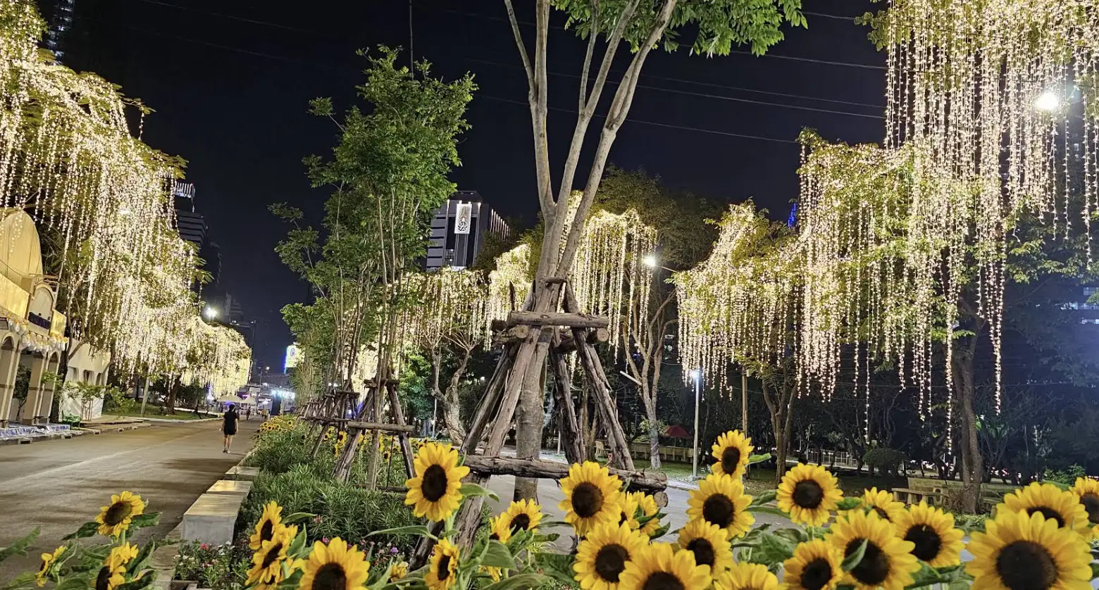 Why Lumphini Park