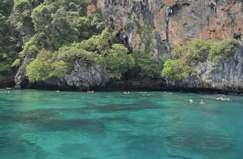 Wildlife and Water Adventures