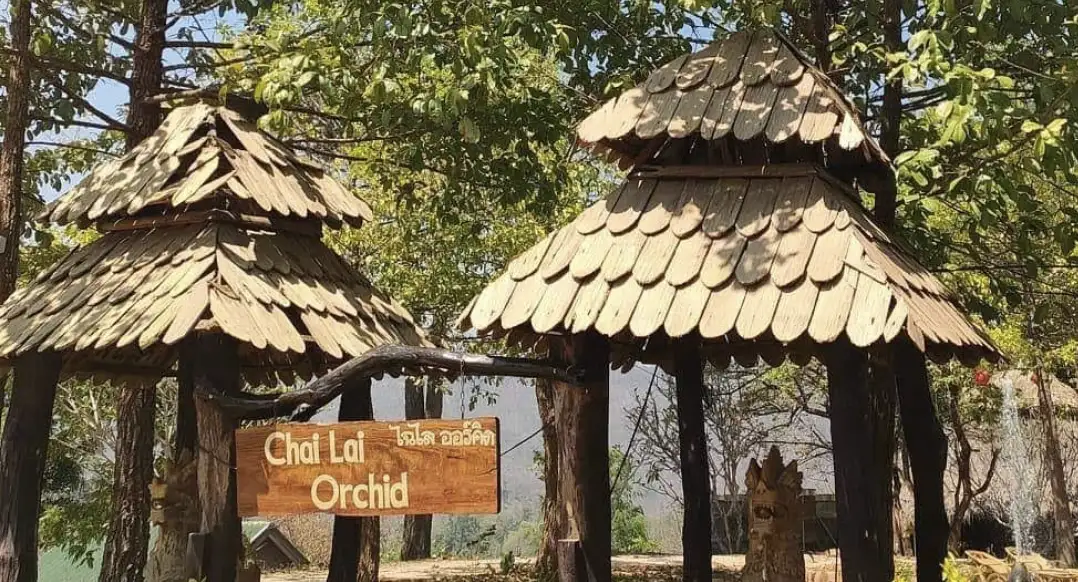 Chai Lai Orchid Eco Lodge and Café Review: An Ethical Escape into Chiang Mai’s Jungle