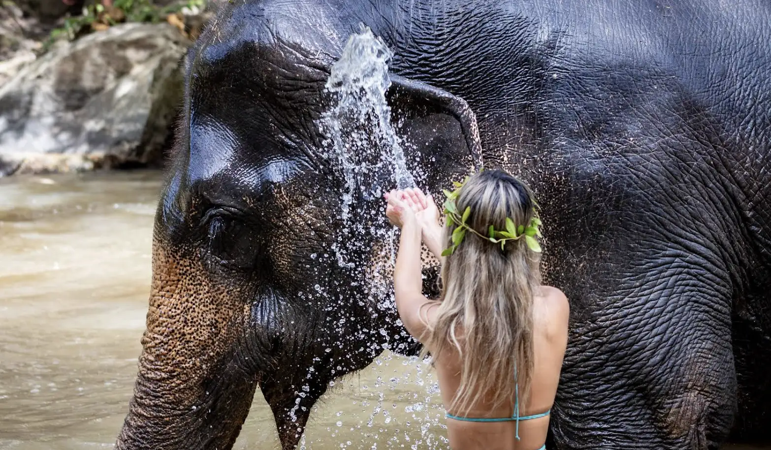 Ethical Elephant Encounters