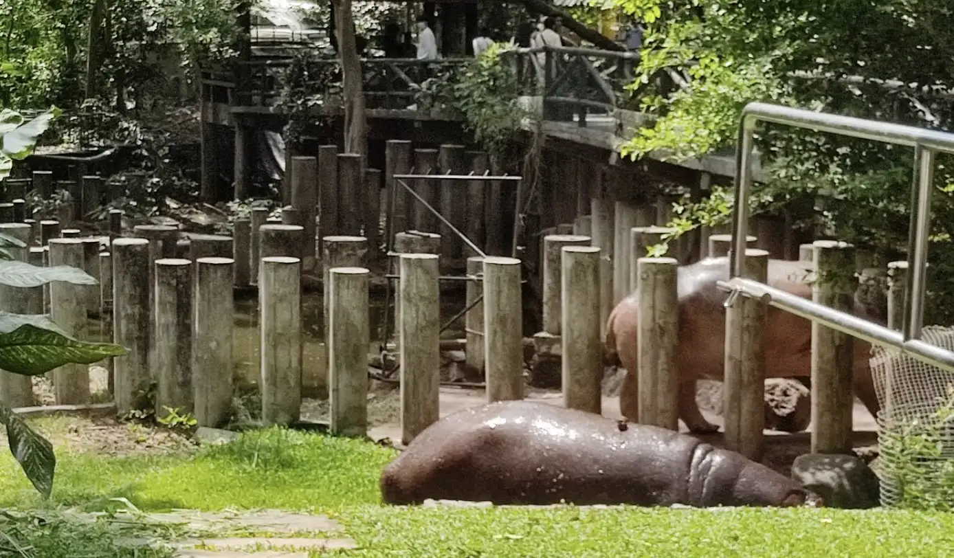 Getting to Khao Kheow Open Zoo