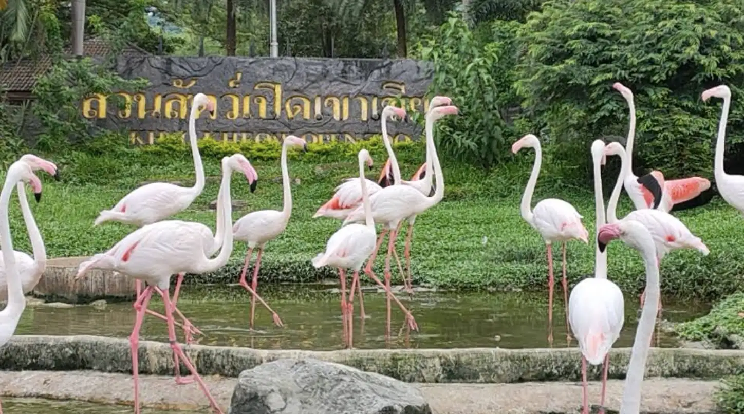 Khao Kheow Open Zoo