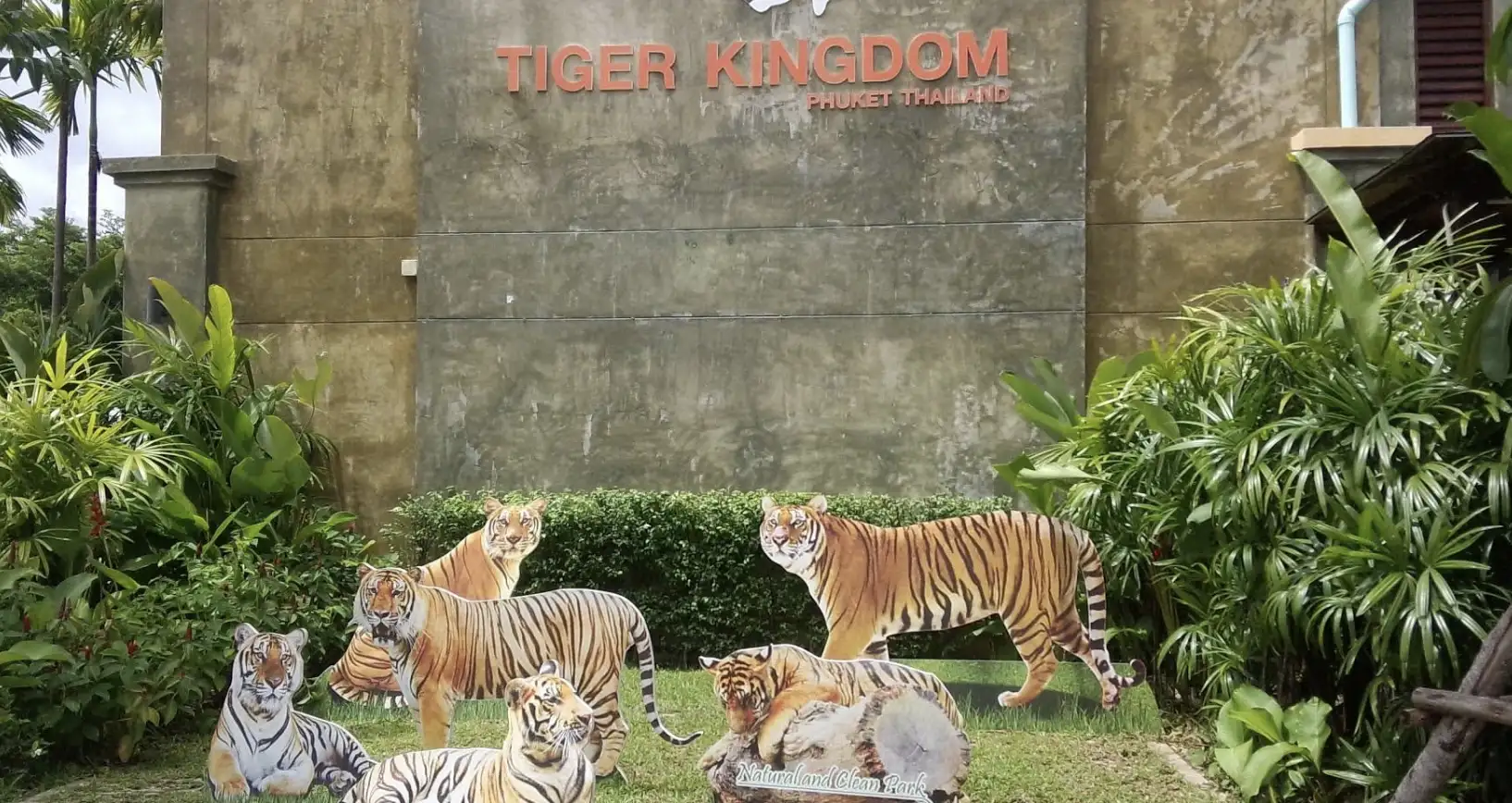 Review of Tiger Kingdom Phuket: A Controversial Wildlife Experience